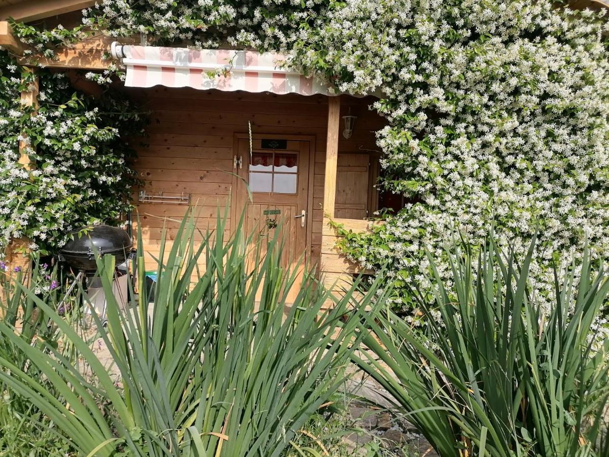 Apartma Suzy Pobegi Exterior foto